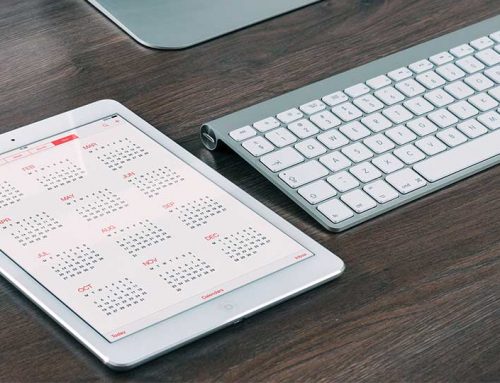 10 Tips For Looking After Rabbits