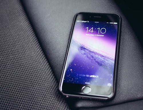 Why Do Cats Sleep So Much?